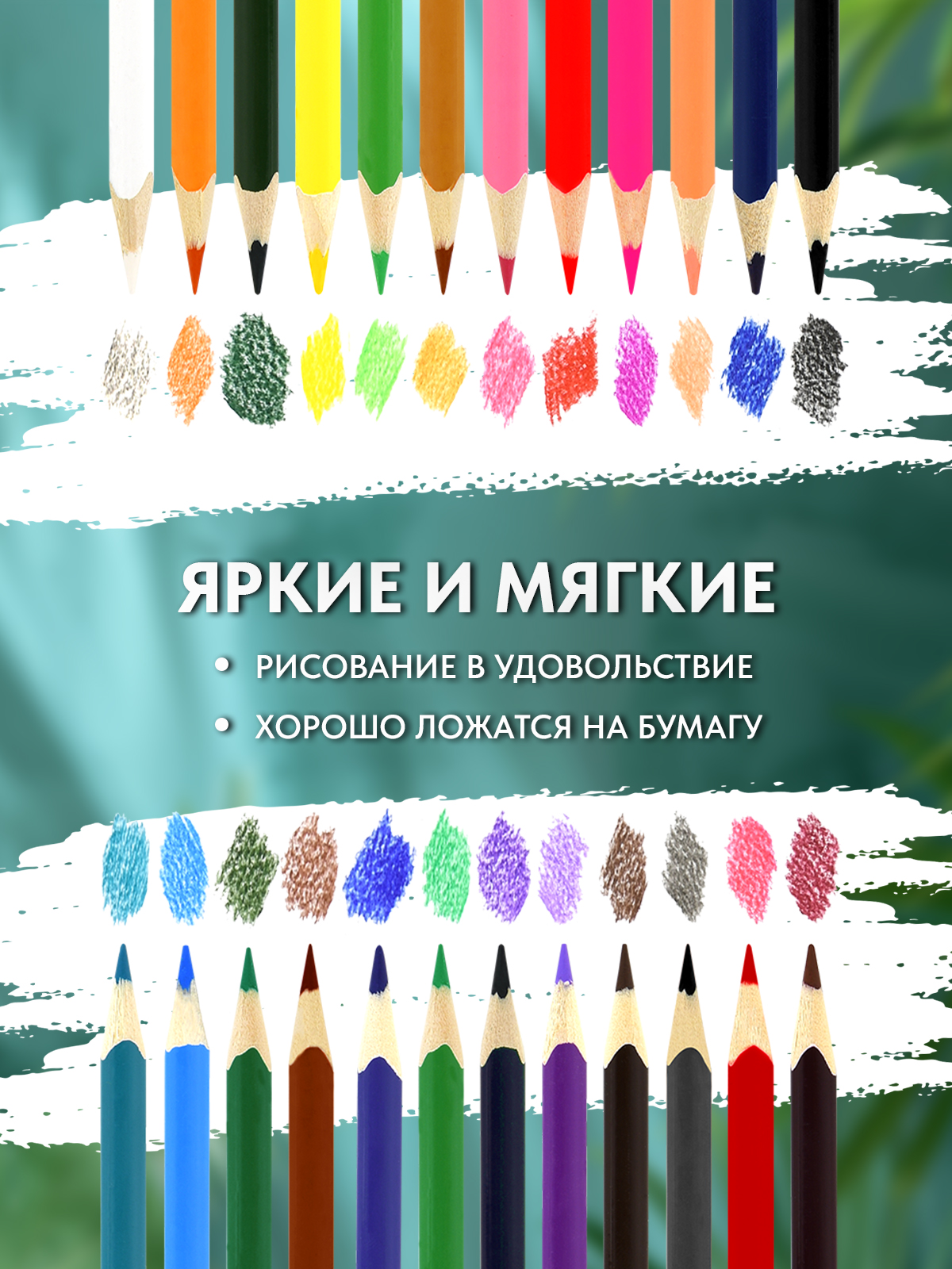 Карандаши цветные SCHOOLFORMAT 24 шт. - фото 2