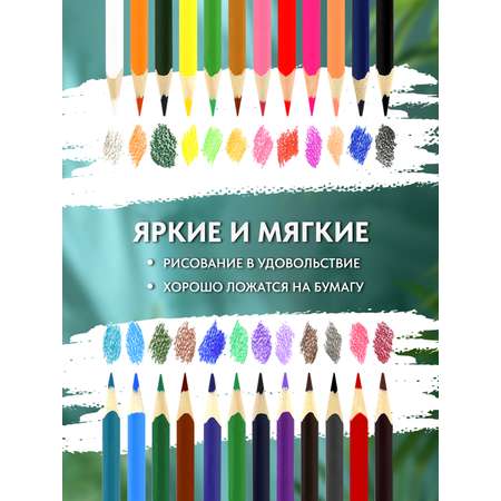 Карандаши цветные SCHOOLFORMAT 24 шт.