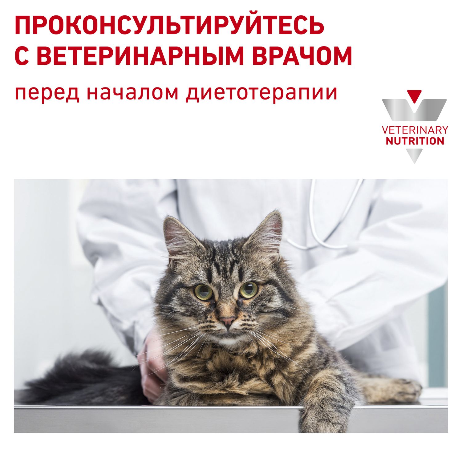 Корм для кошек ROYAL CANIN Gastro Intestinal пауч 85г - фото 8