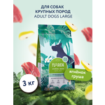 Корм для собак крупных пород сухой Florida Maxi Adult Lamb с ягненком и грушей 3кг