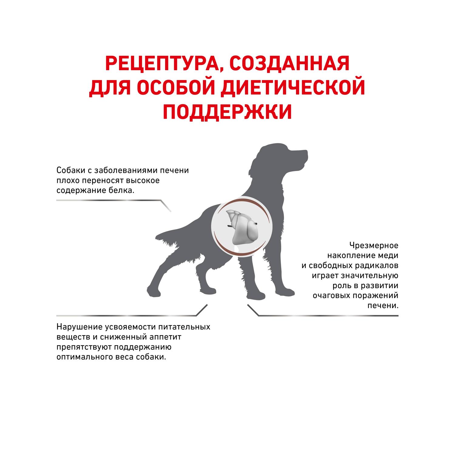 Корм для собак ROYAL CANIN Hepatic HF16 при заболеваниях печени 1.5кг - фото 2
