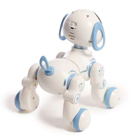 Собака РУ IQ BOT