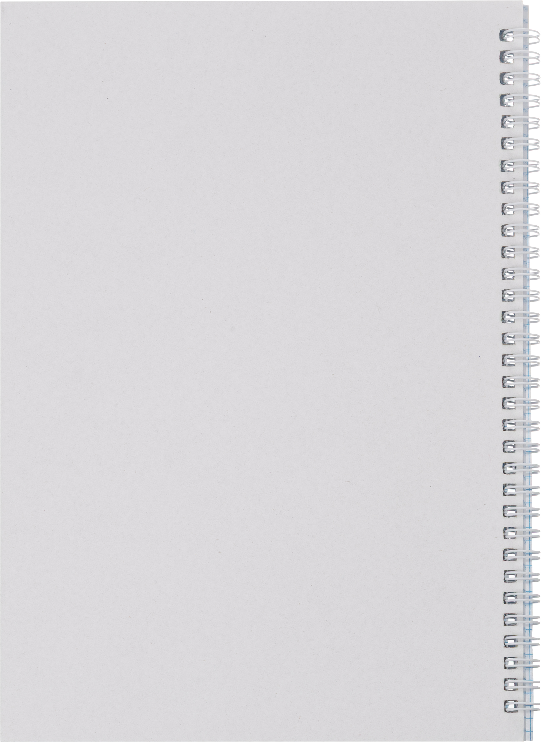 Тетрадь Attache клетка 80 лист. - фото 5