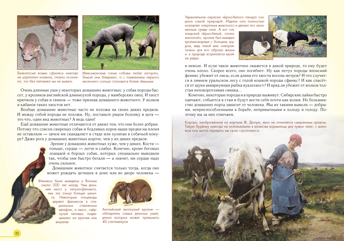 Книга Белый город Домашние животные - фото 6