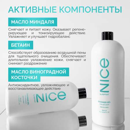 Гель NICE by Septivit Arctic Chill 1000 мл