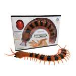 Насекомое РУ BalaToys Сороконожка