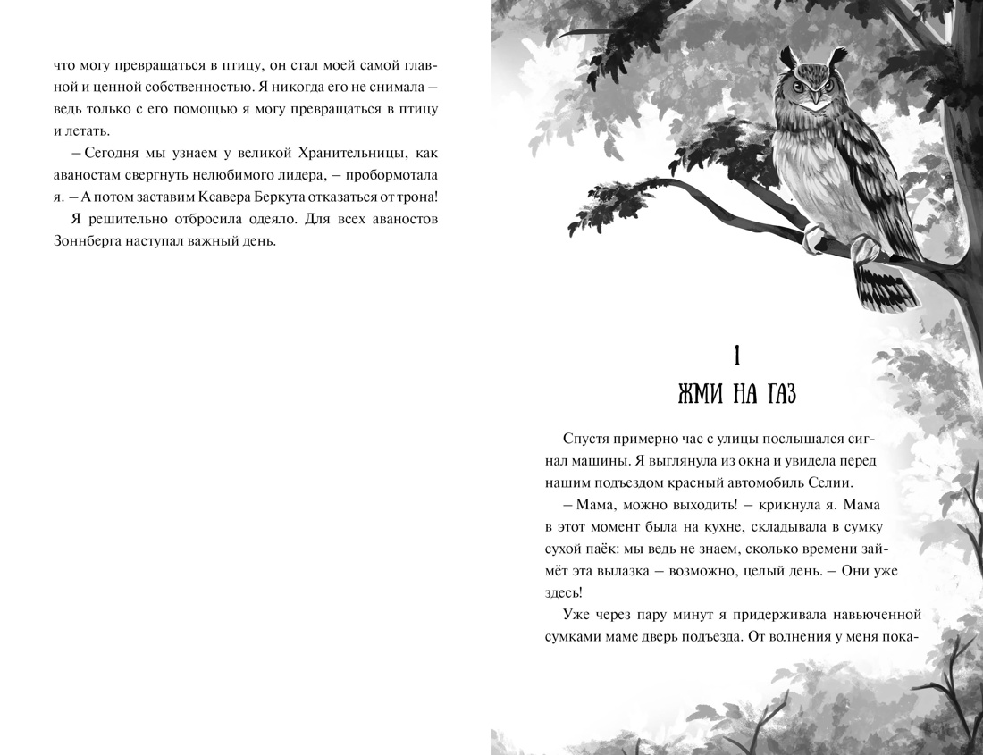 Книга Махаон Полёт Кайи Мёле Н Зачарованные крылья Фэнтези для подростков - фото 5