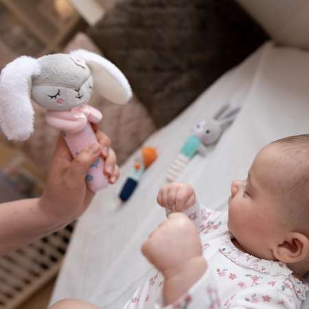 Игрушка Babyono погремушка
