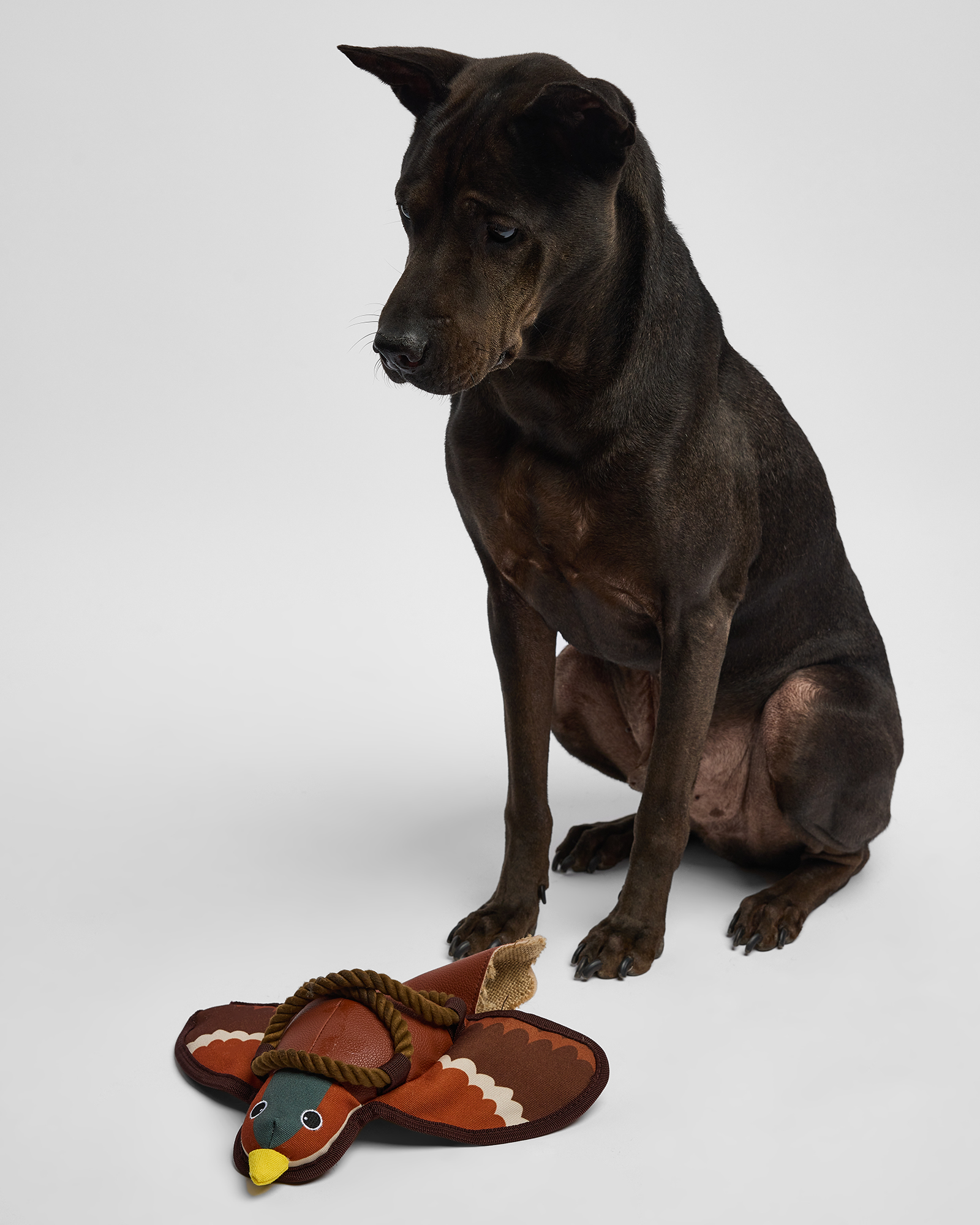 Игрушка для собак Barbaks Голубка Клавдия из кожи с канатиком 32*31см - фото 6