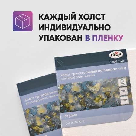 Набор холстов Гаммa на подрамнике 2 шт