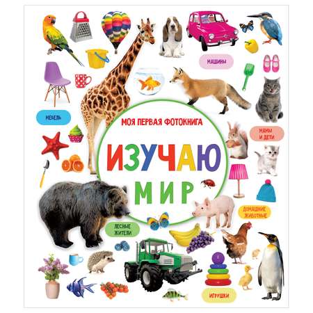 Книга Изучаю мир Моя первая фотокнига