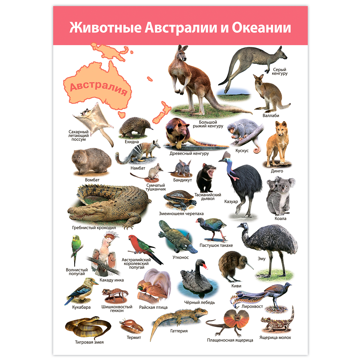 Настольная игра Дрофа-Медиа - фото 9