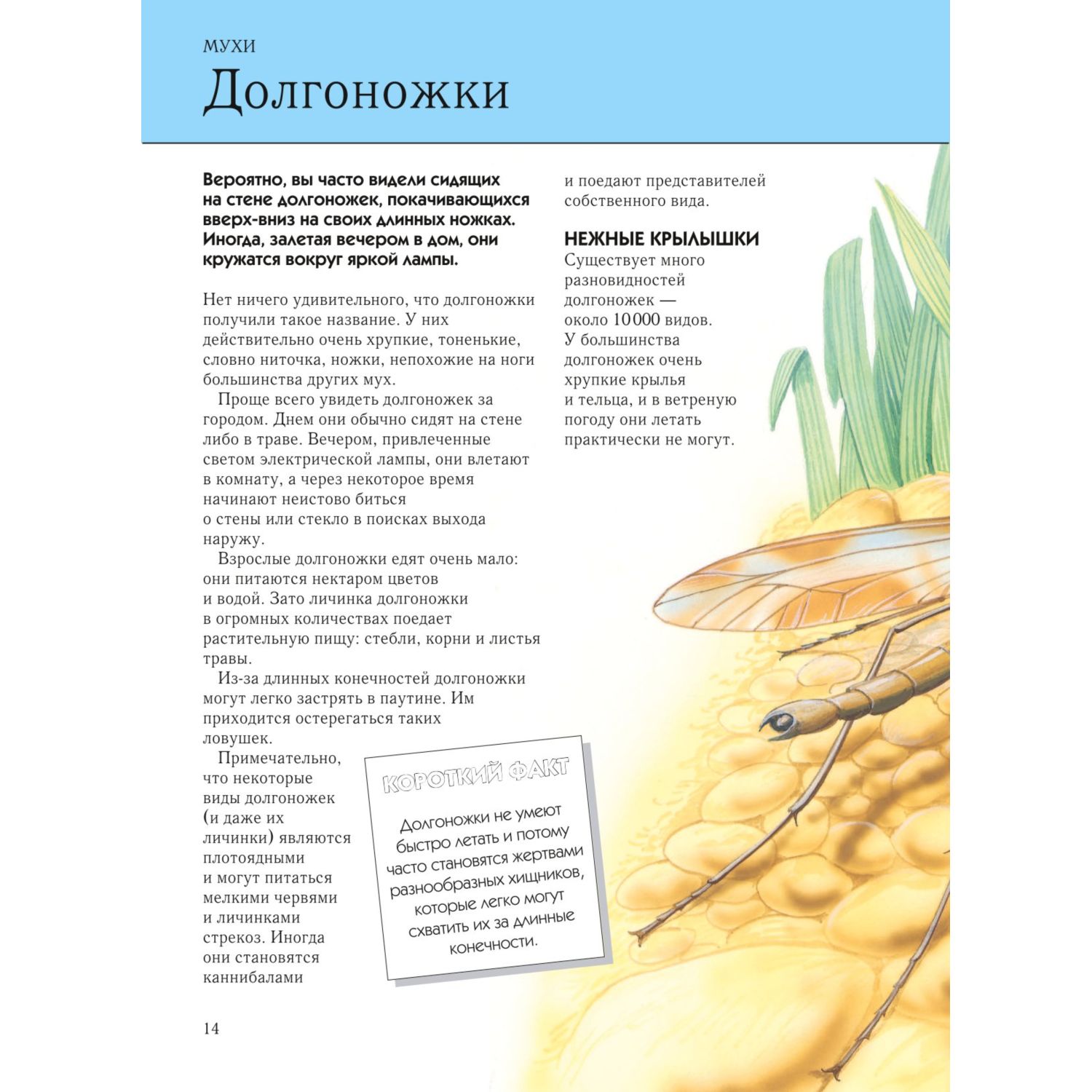 Книга ЭКСМО-ПРЕСС Насекомые Полная энциклопедия - фото 5