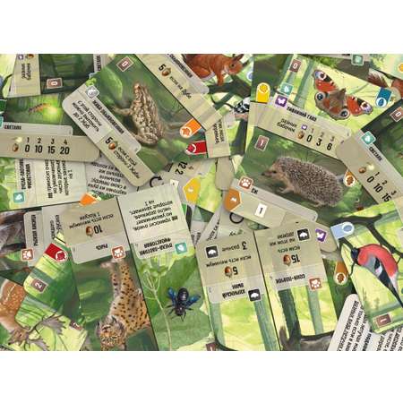 Настольная игра Стиль жизни Смешанный лес