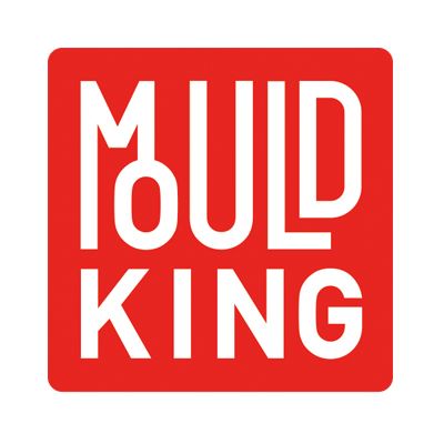 Mould King
