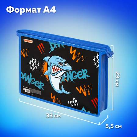Папка для тетрадей Пифагор А4