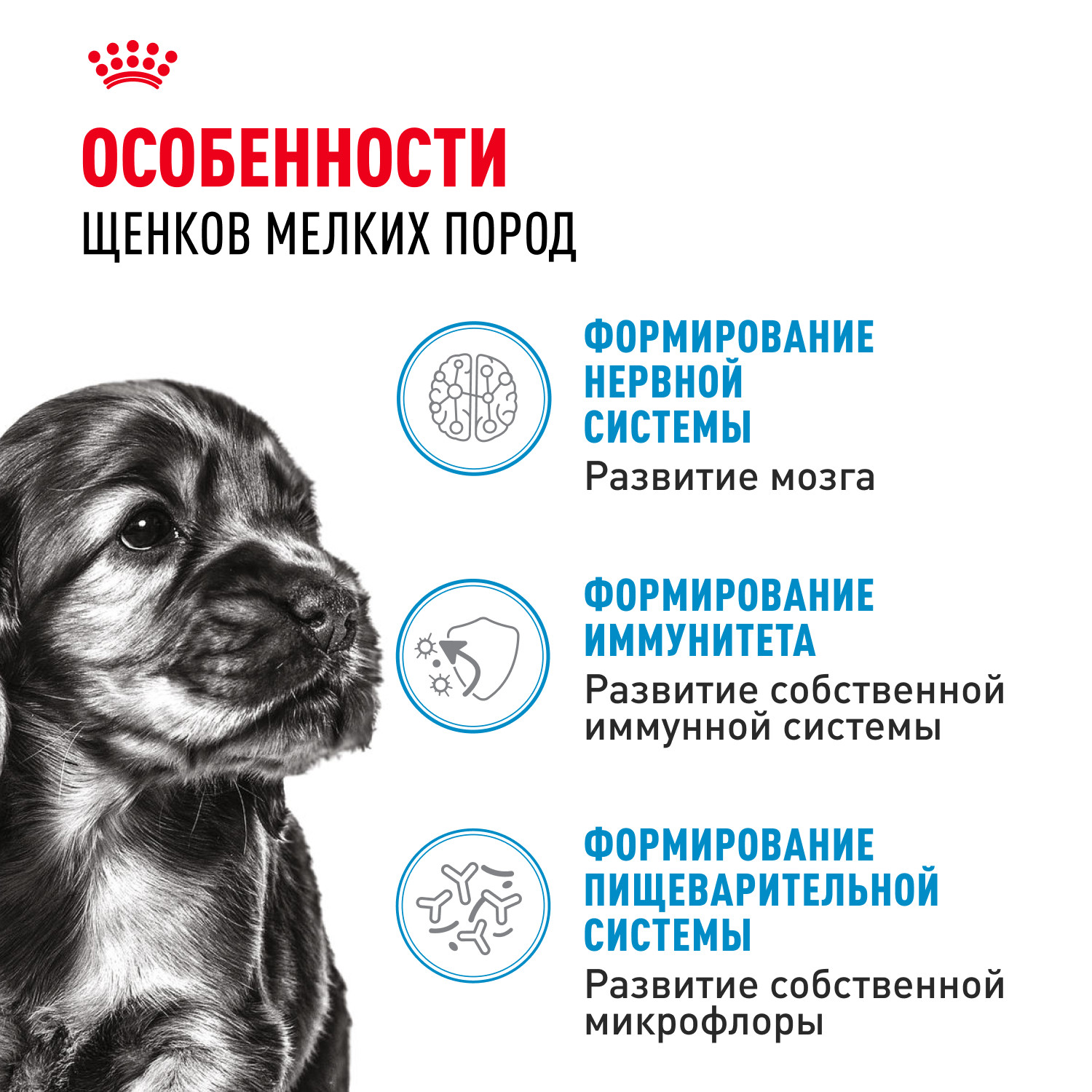 Корм для щенков ROYAL CANIN Puppy мелких пород 800г - фото 2