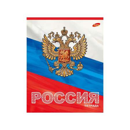 Общая тетрадь Академия Холдинг клетка 48 лист.