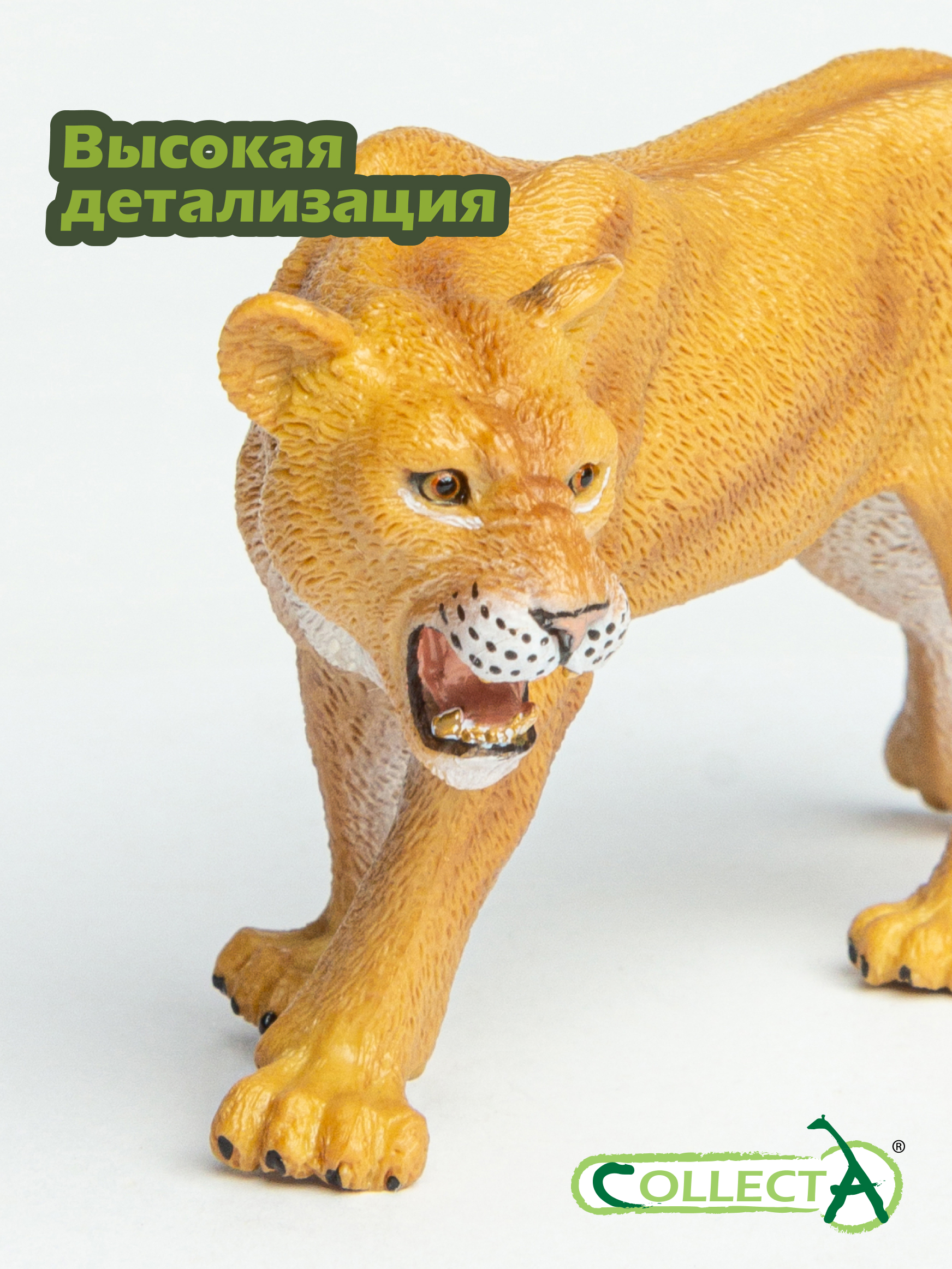 Фигурка Collecta Львица 5,5 см - фото 3