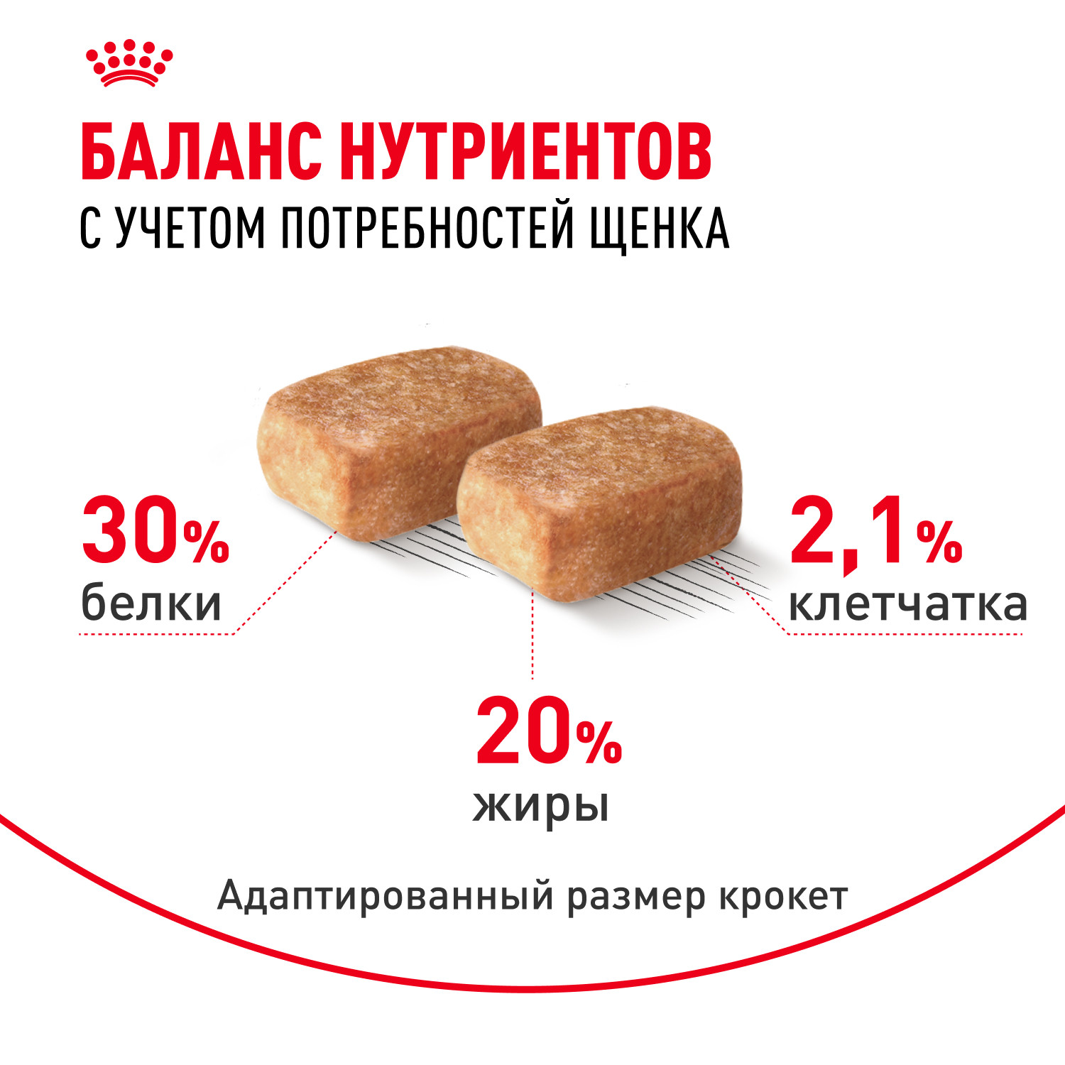 Корм для щенков ROYAL CANIN породы чихуахуа 500г - фото 4
