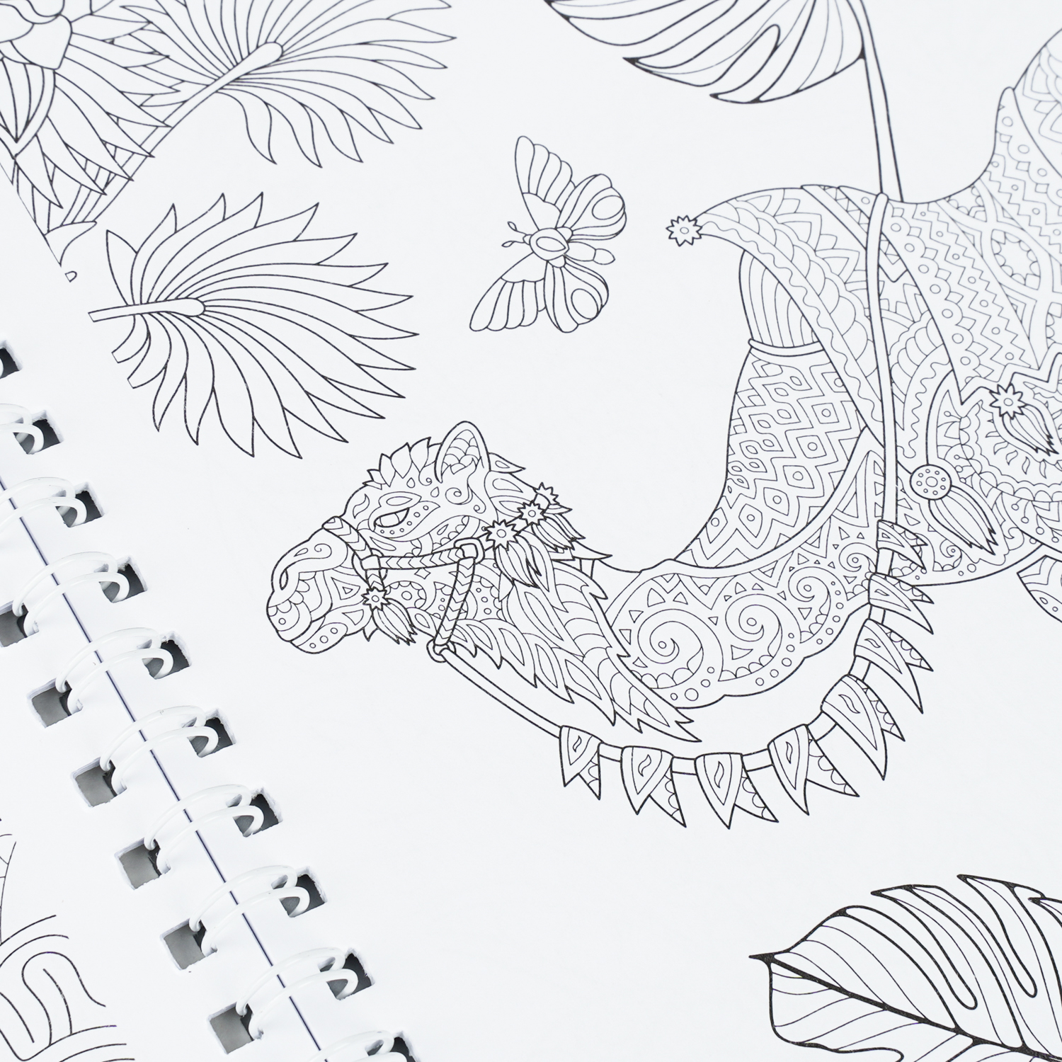 Раскраска антистресс УМка Мир природы - фото 5