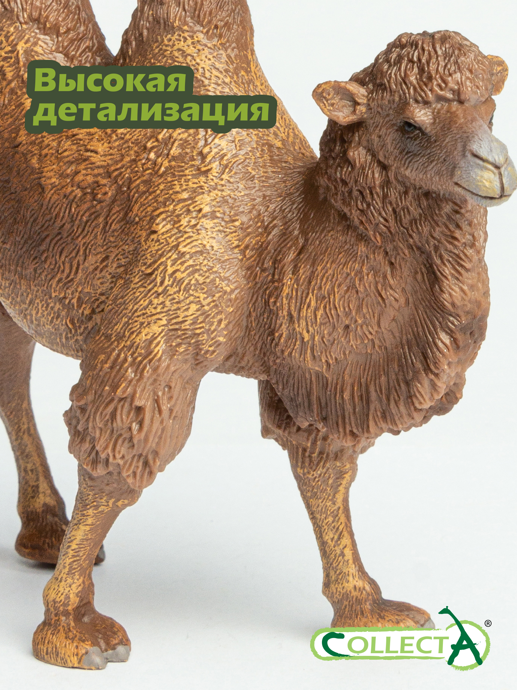 Фигурка Collecta Двугорбый верблюд - фото 3
