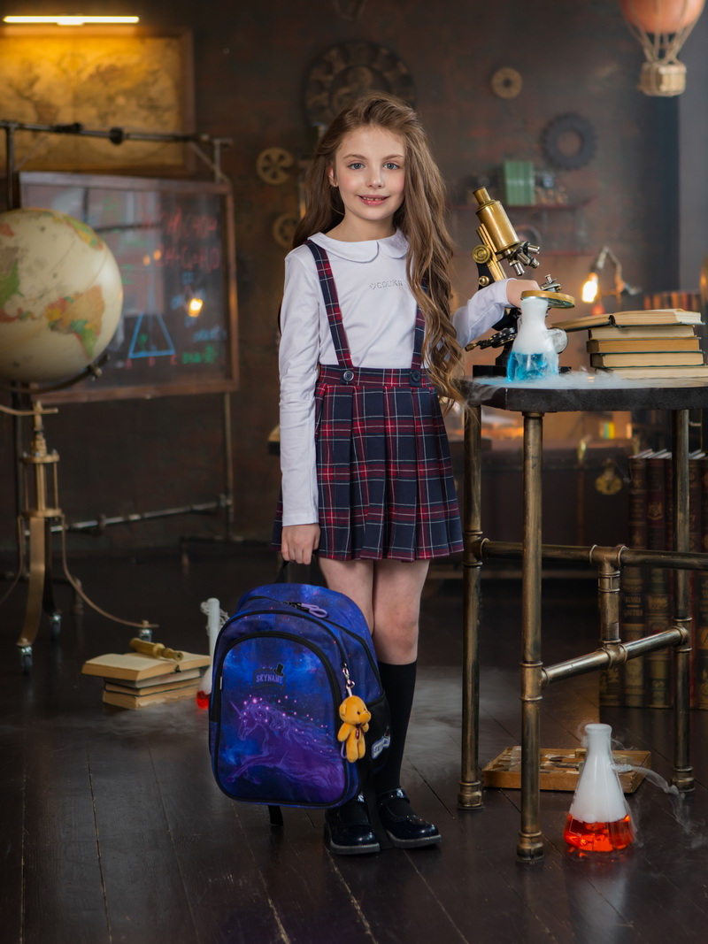 Рюкзак SkyName 17л анатомическая спинка+мишка - фото 5