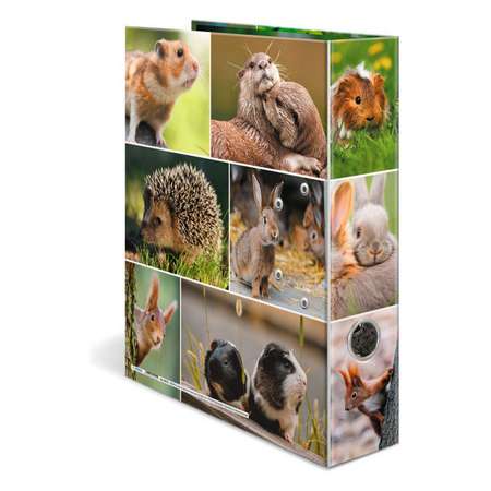 Папка на кольцах HERMA А4