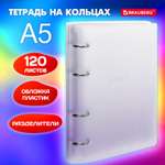Тетрадь со сменным блоком Brauberg клетка 120 лист.