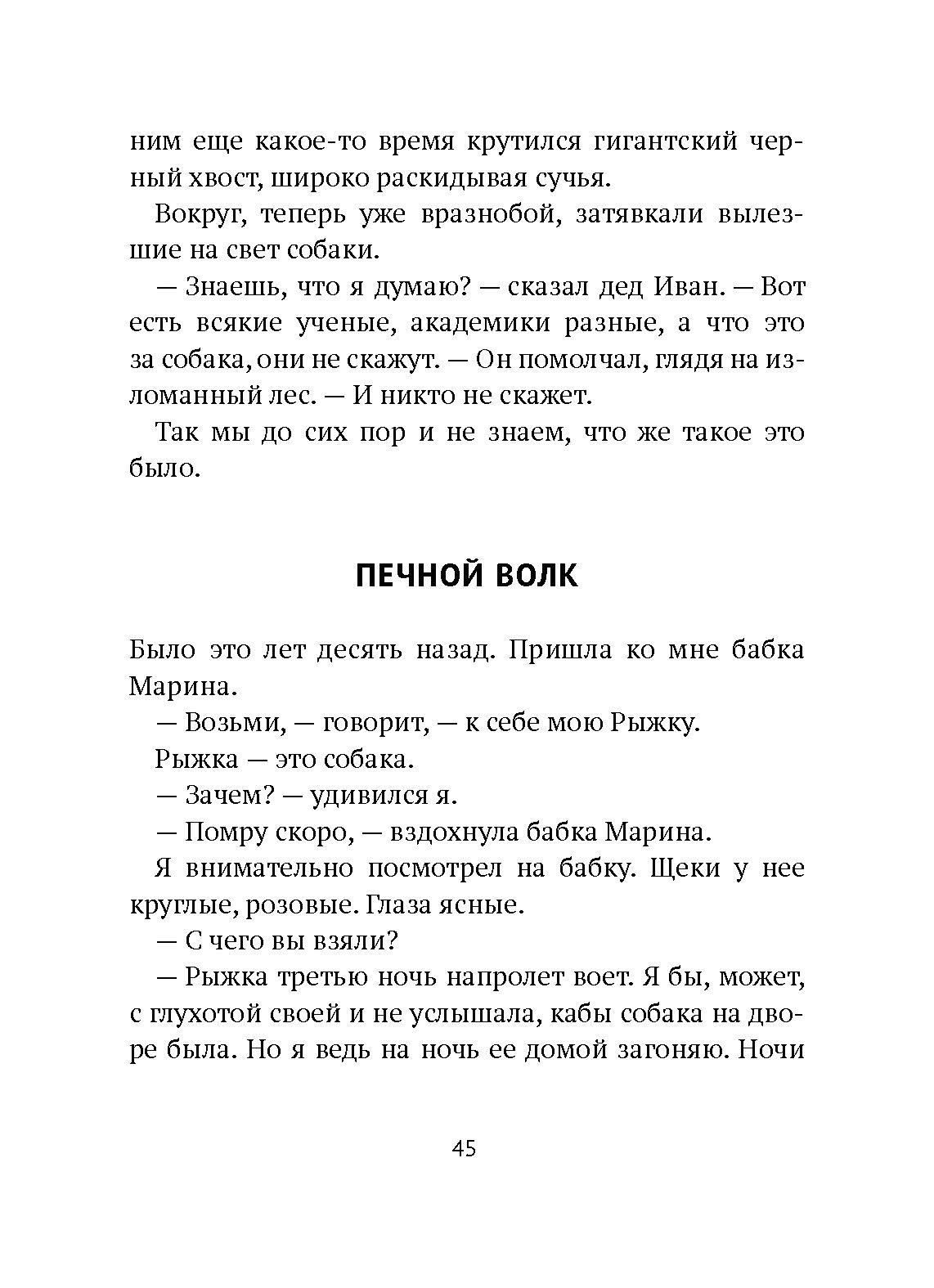 Книга Волчок Поворот - фото 6