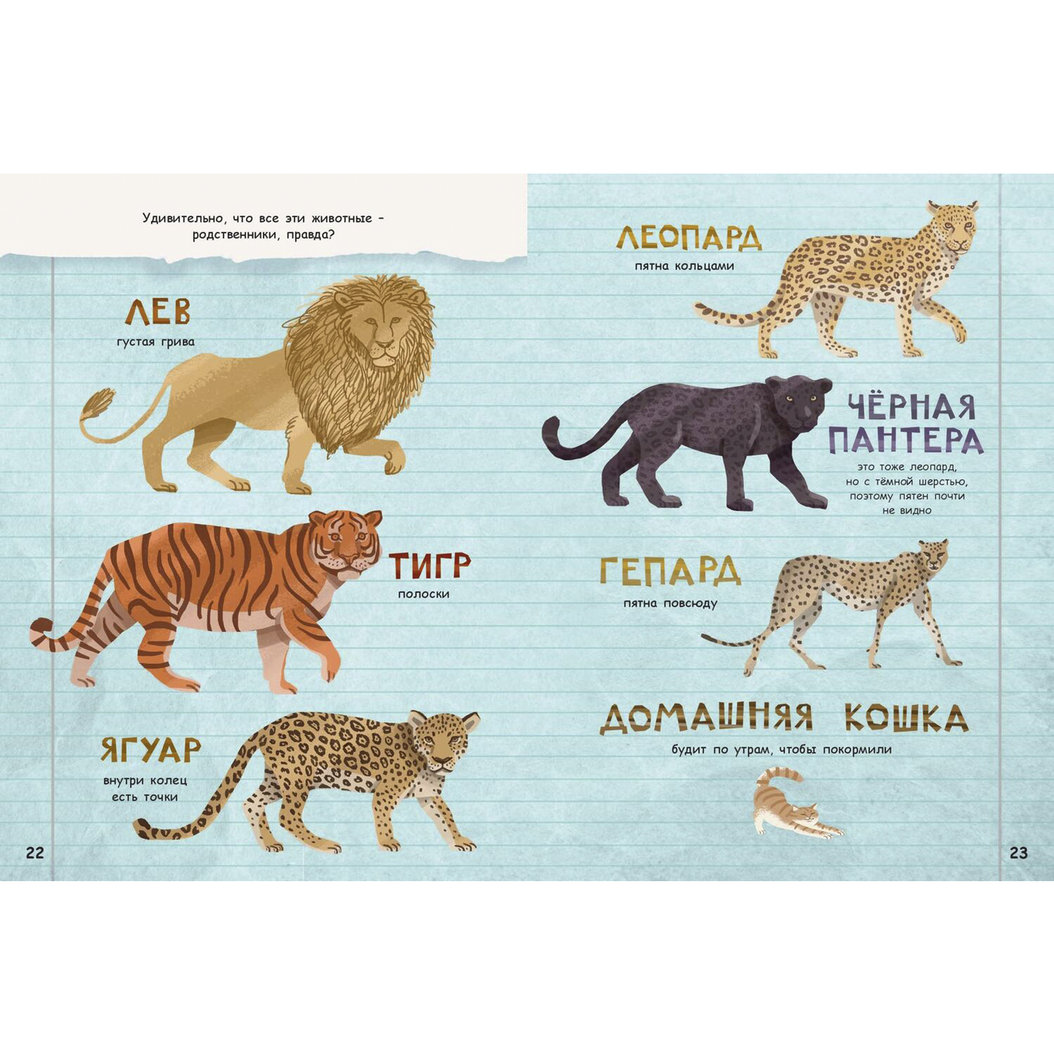 Книга ЭНАС-книга Они такие разные! - фото 7