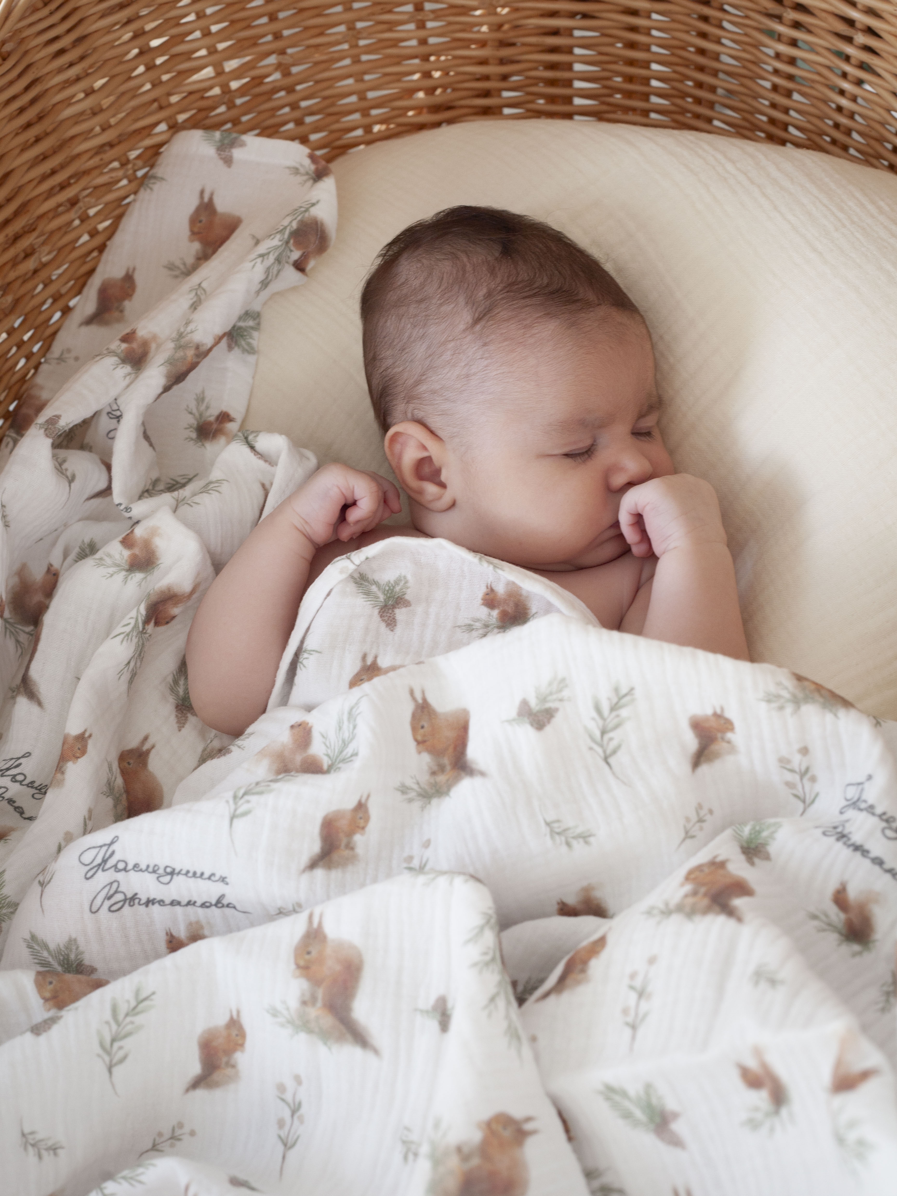 Пелёнка НаследникЪ Выжанова Набор муслиновых пеленок муслин 120х120 см 2 шт. - фото 6