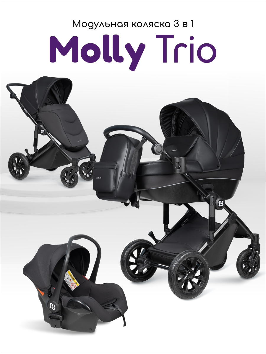 Коляска 3в1 Farfello Molly Trio черный - фото 1