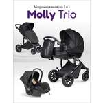 Коляска 3в1 Farfello Molly Trio черный