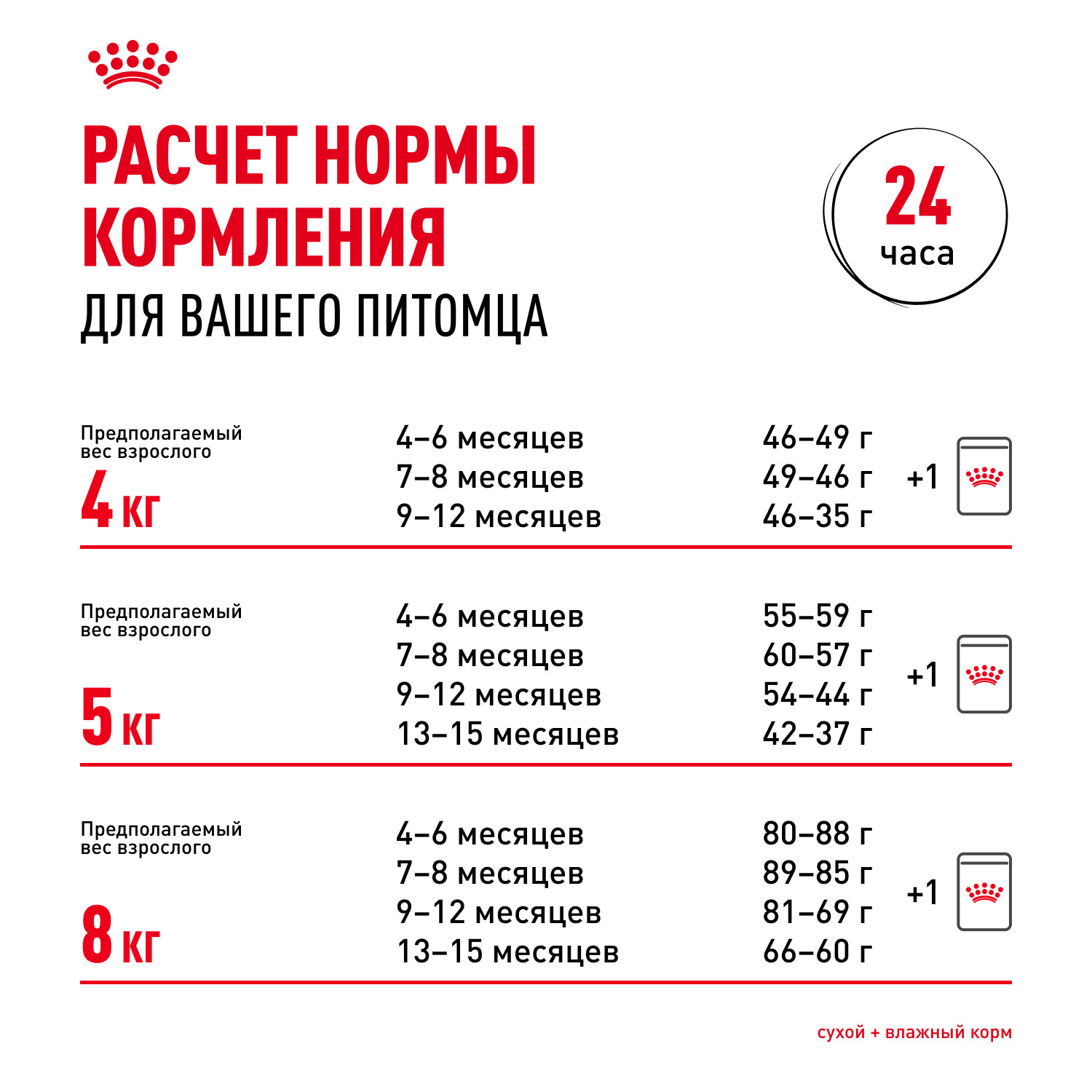 Корм для котят Royal Canin 400г Maine Coon породы мейн-кун - фото 9