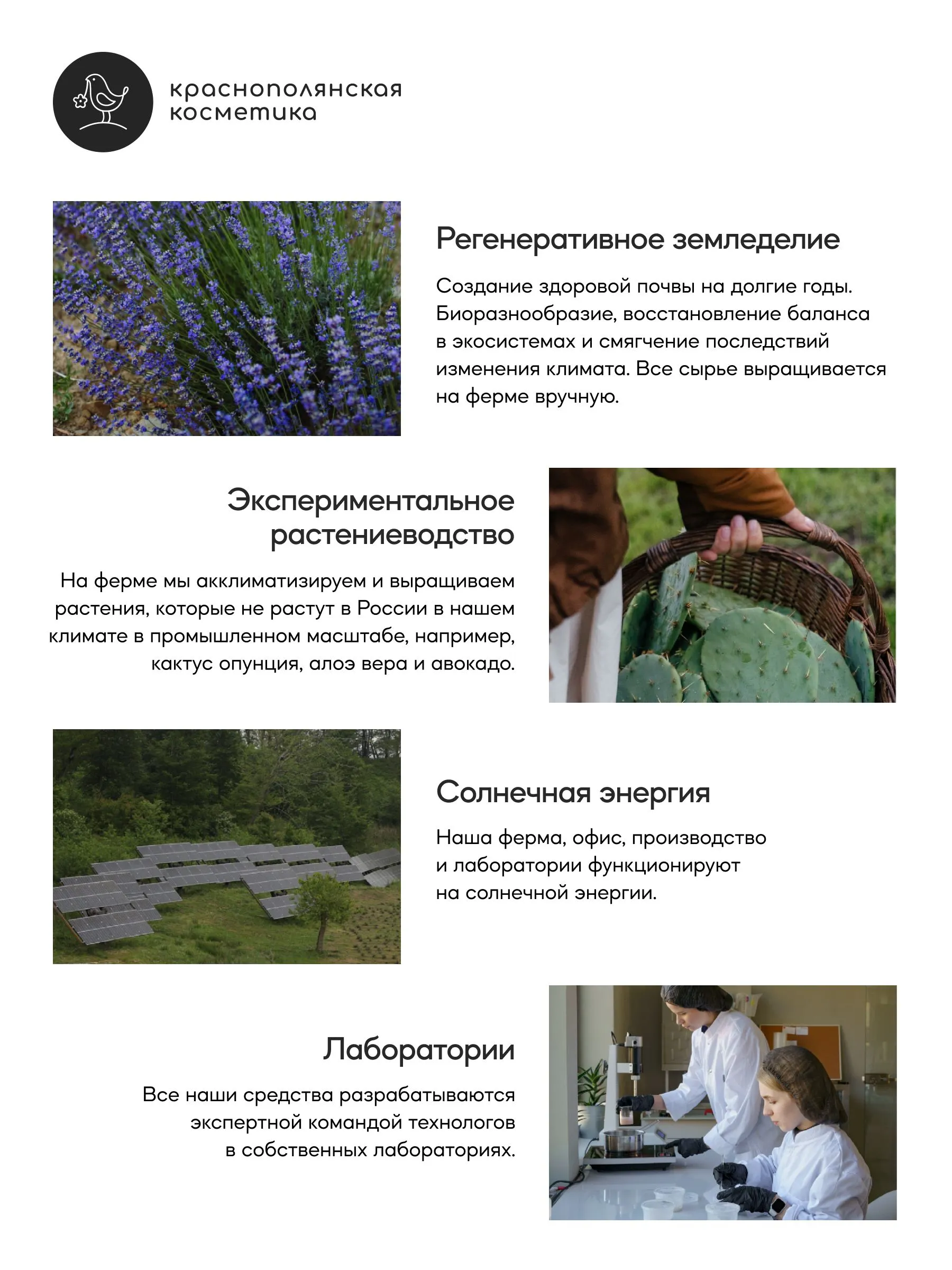 Дезодорант роллер Краснополянская косметика натуральный Лаванда 2 шт - фото 9