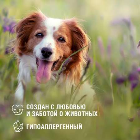 Шампунь для собак ECOZAVR с пантенолом 500мл