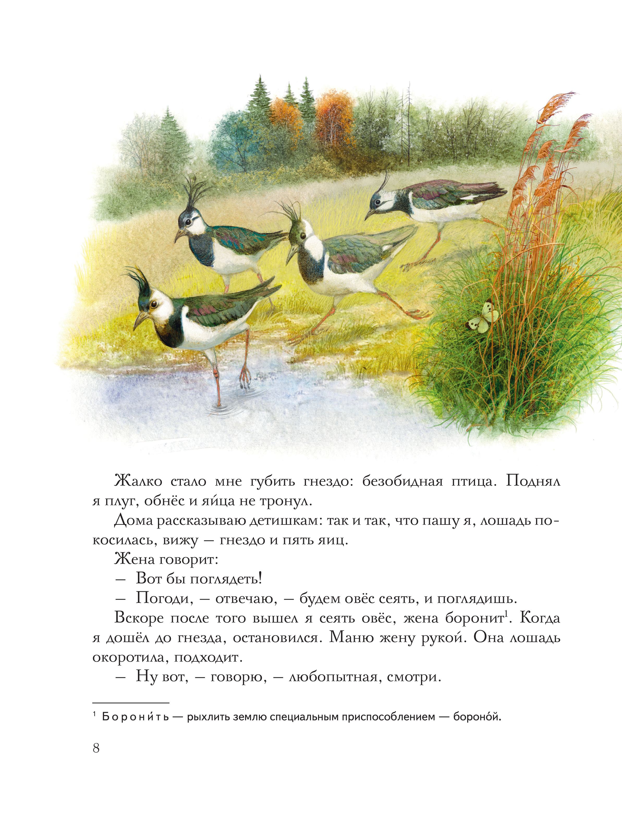 Книга Эксмо Золотой луг. Рассказы о животных (ил. Дударенко) - фото 7