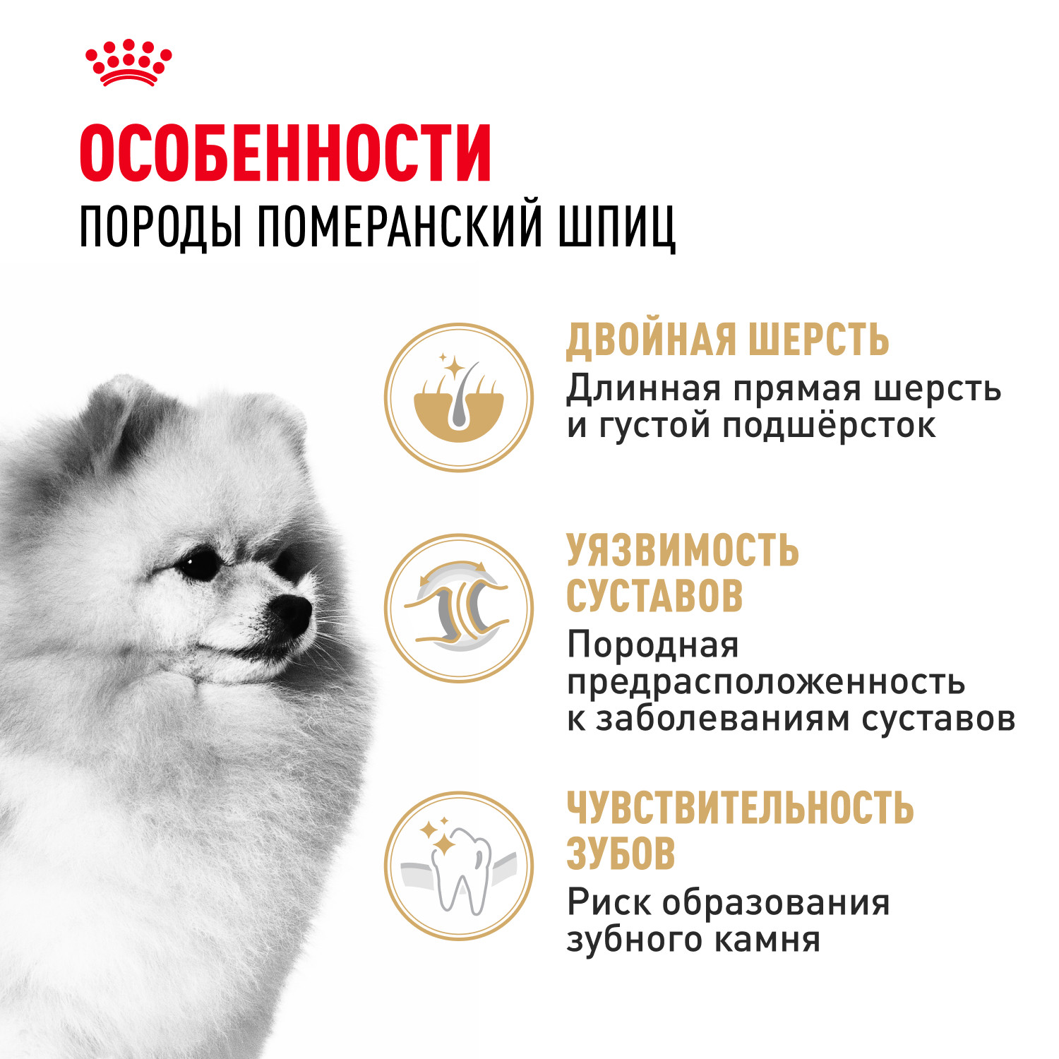 Корм для собак ROYAL CANIN породы померанский шпиц 1.5кг - фото 2