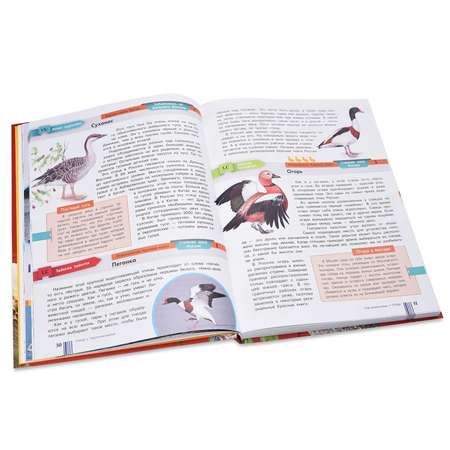 Красная книга АСТ России