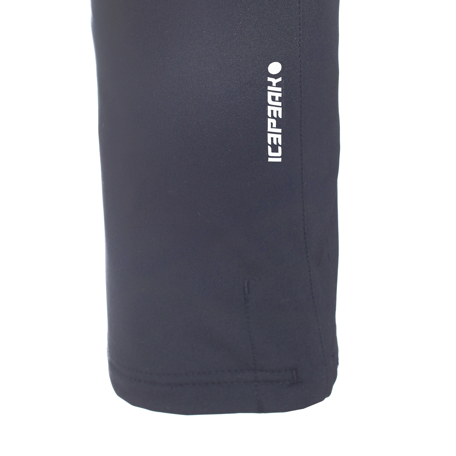 Брюки Icepeak 851002542IV290 - фото 4