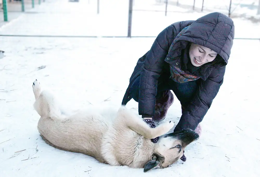 Собака Ник - фото 2