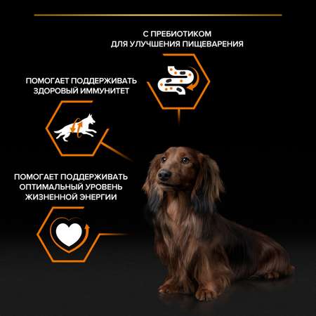 Корм для собак PRO PLAN взрослых курица пауч 85г