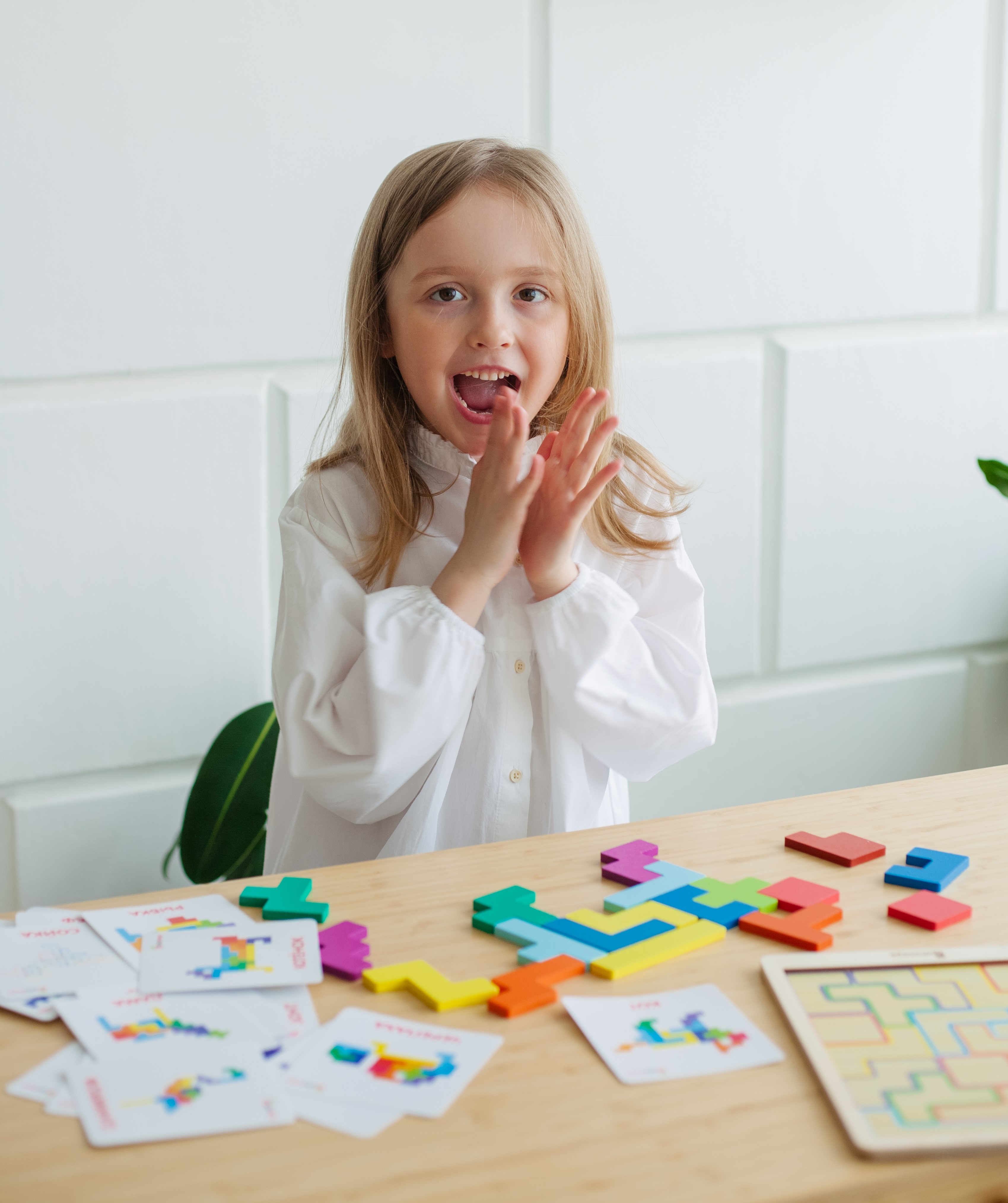 Настольная игра Alatoys Танграм - фото 14