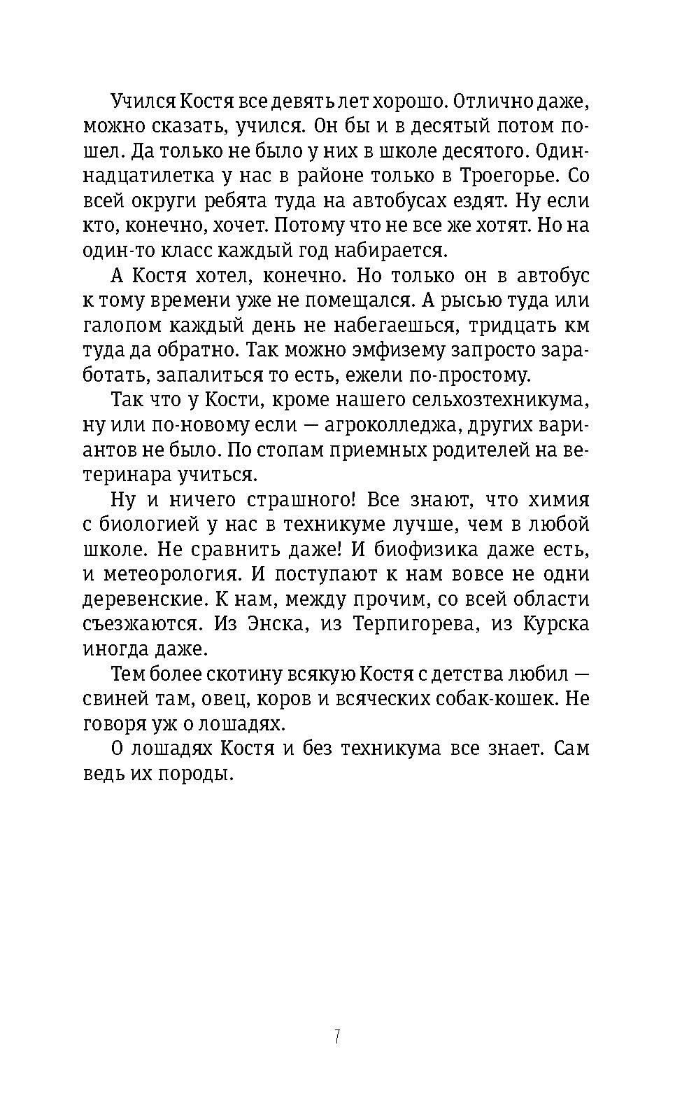 Книга Время Сказка о городе Горечанске - фото 3