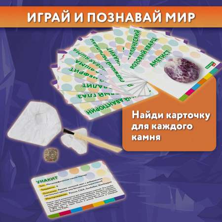 Набор для раскопок Brauberg