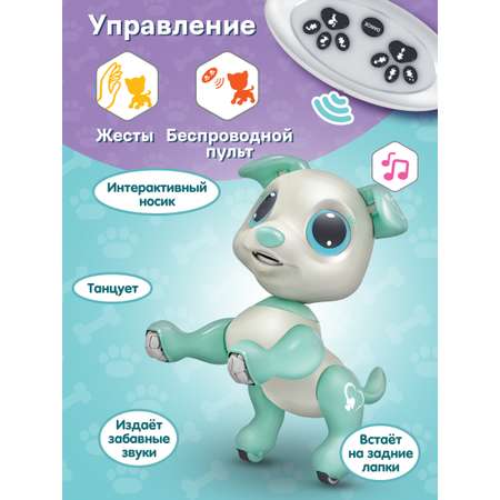Собака РУ Mioshi Сердечко