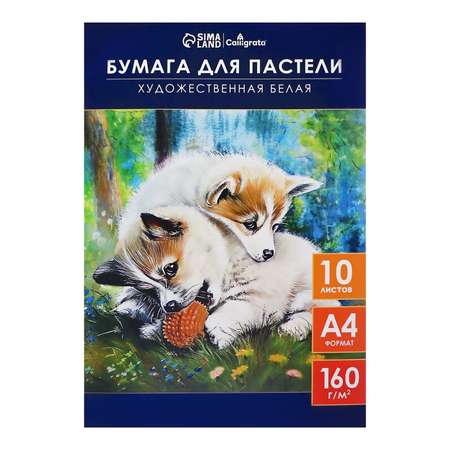Художественная бумага Calligrata 10 лист.