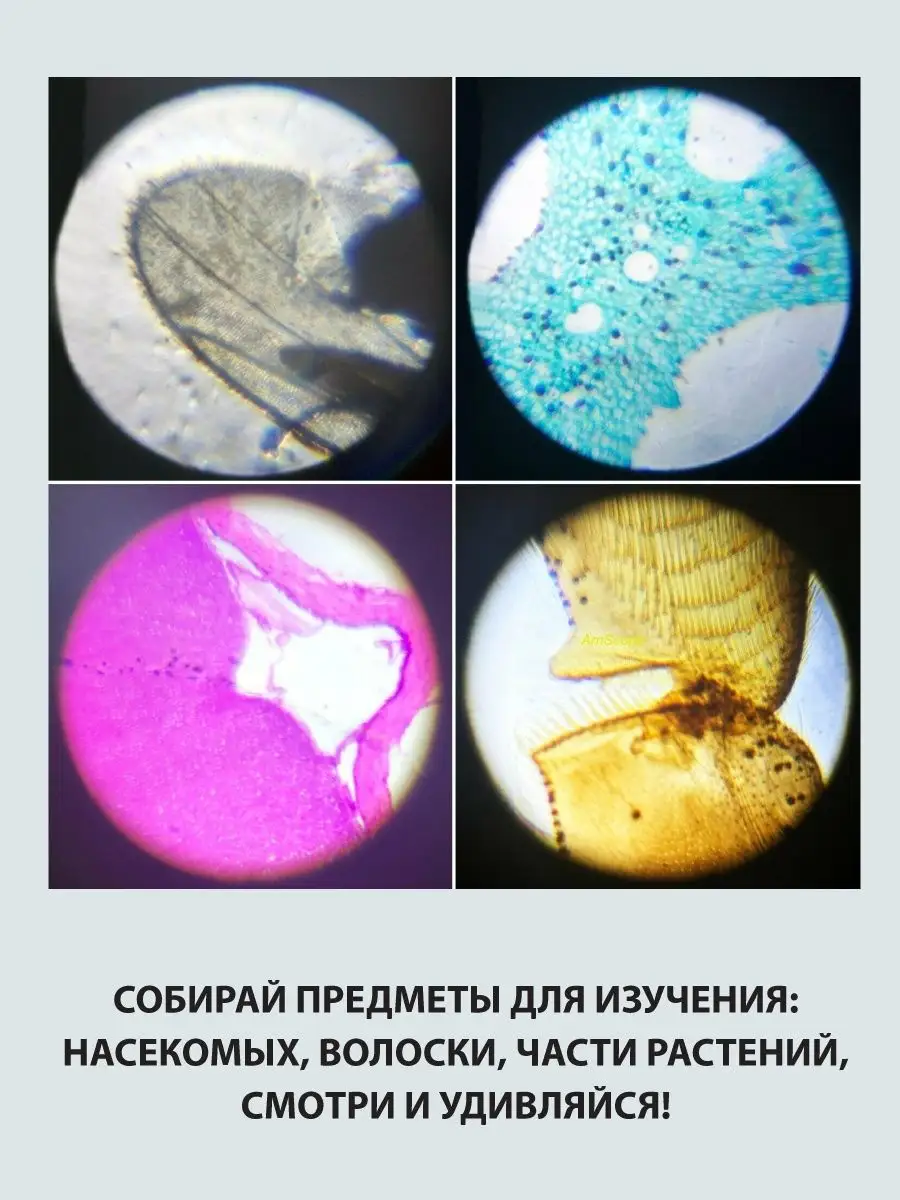 Микроскоп Veld Co - фото 7