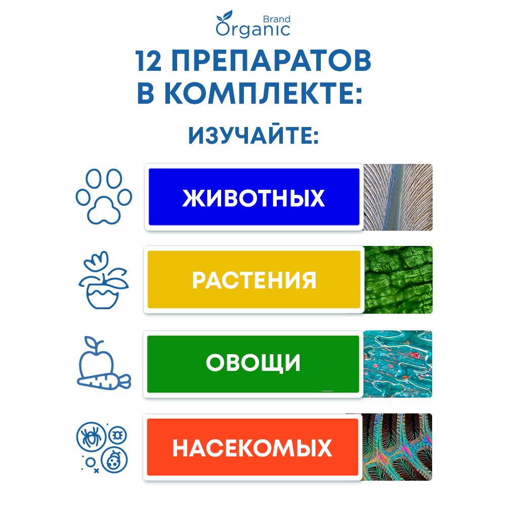 Микроскоп ORGANIC BRAND - фото 3